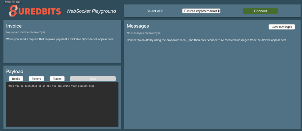 websocket playground